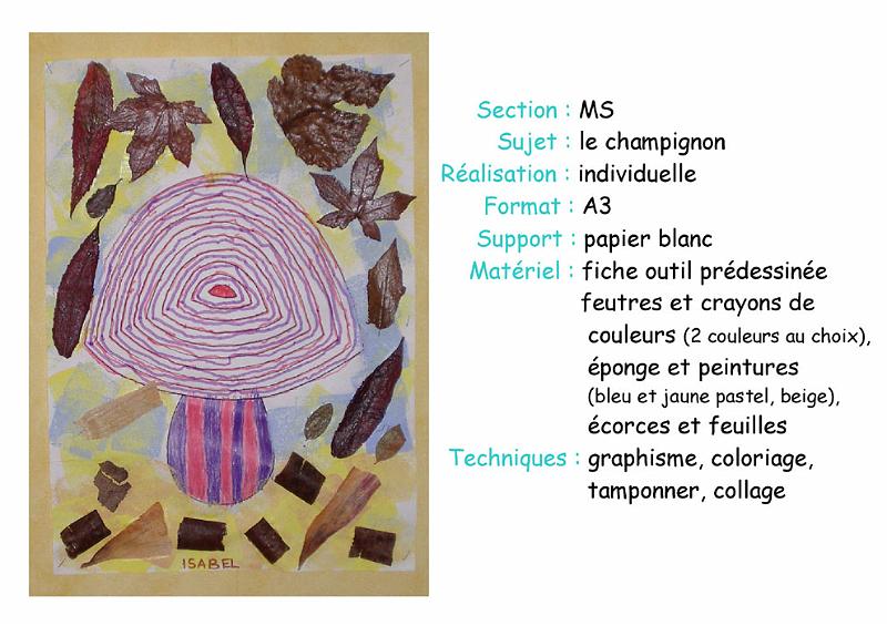 ms-champignon.jpg